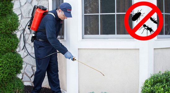 Güzelyalı Tahtakurusu İlaçlama böcek ilaçlama ve haşere kontrolü — ilaclama-tr.com